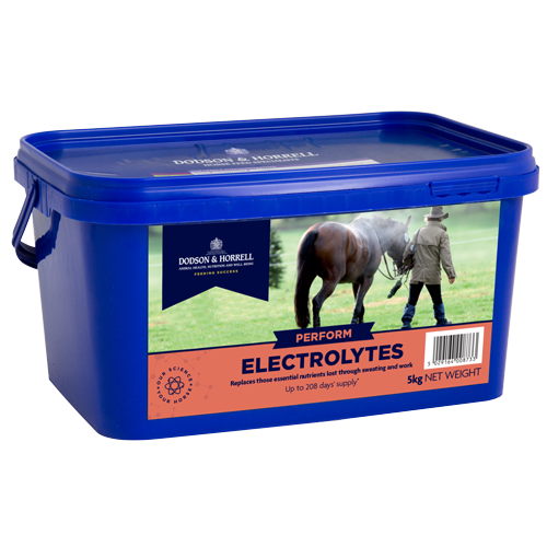 D&H Electrolytes 2kg