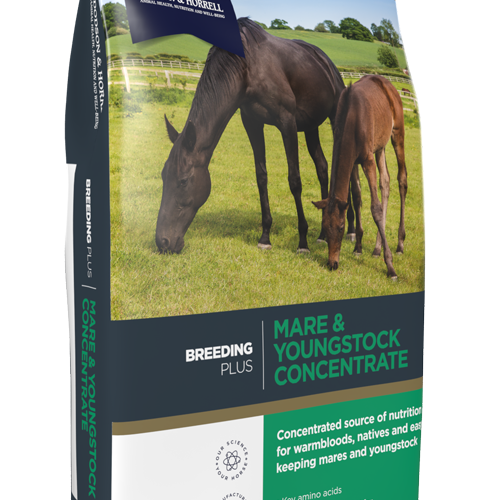 D&H Mare & Youngstock Concentrate 20kg