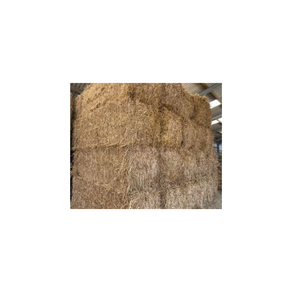 Square 6ft Straw Winzer Equine