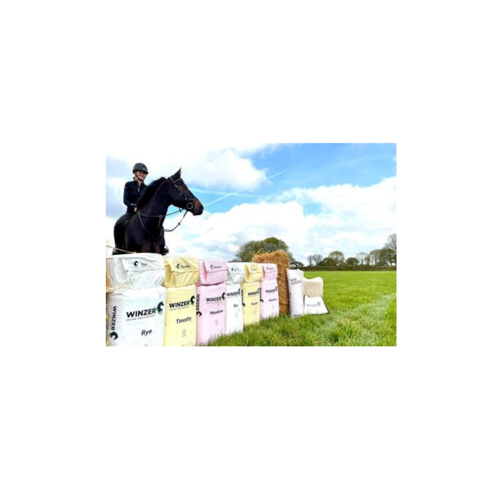 Rye Haylage - Small Bale