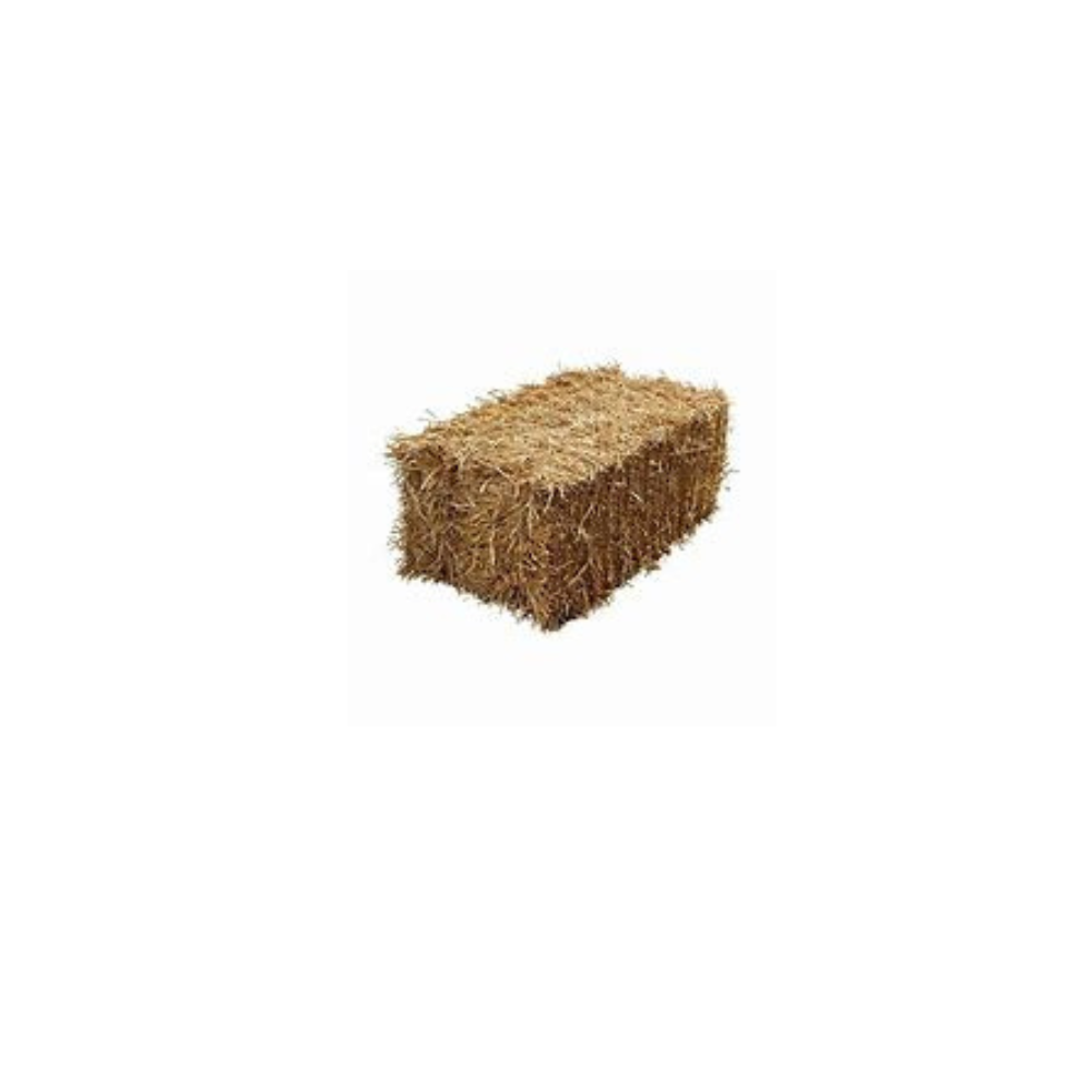 Straw - small bale (Wheat/Oat)