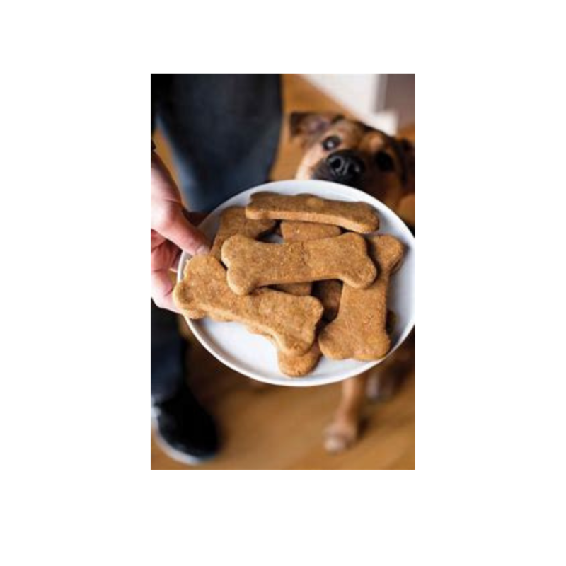 Dog Treats