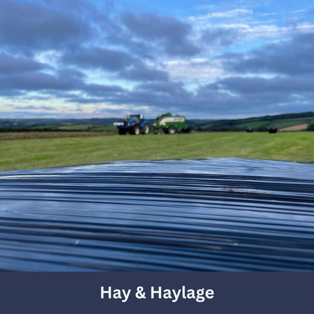 hay and haylage square 2