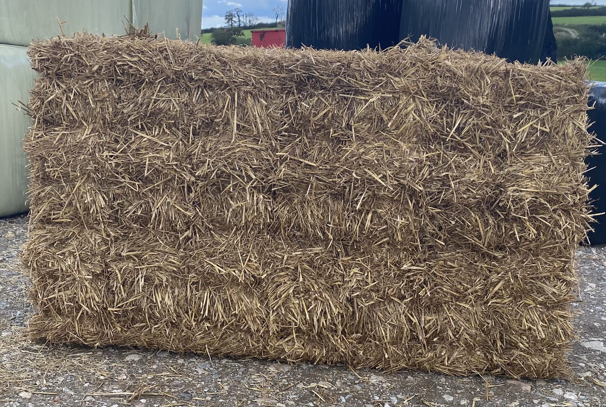 21 Pack Small Bale Straw (Barley) (Tip Off only)