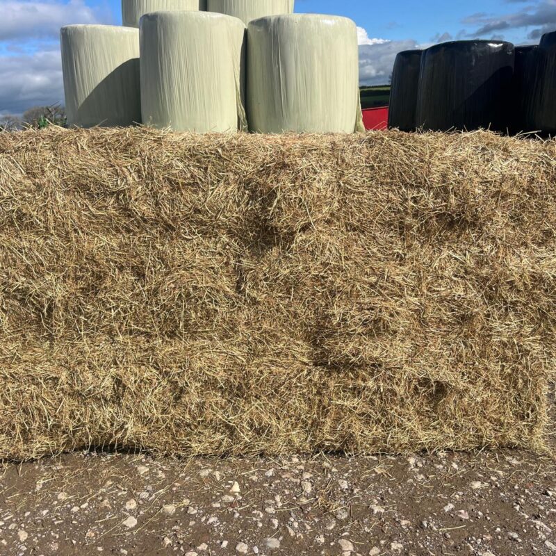 21 Pack Of Small Bale Hay (Meadow) (TIP OFF ONLY)